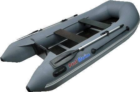 ProfMarine PM 300 CL